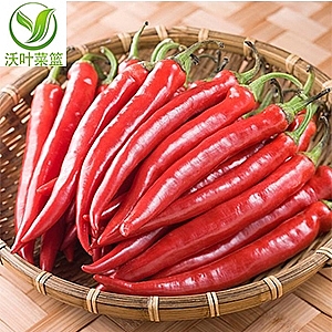 紅線椒（500g）